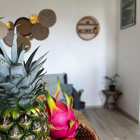 Cocon Des Alizes Daire La Moise Dış mekan fotoğraf